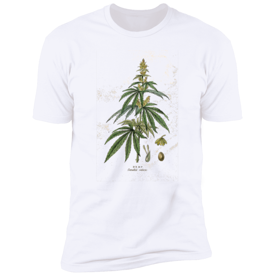 HEMP2