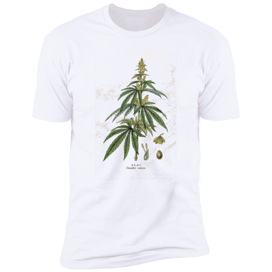 HEMP2