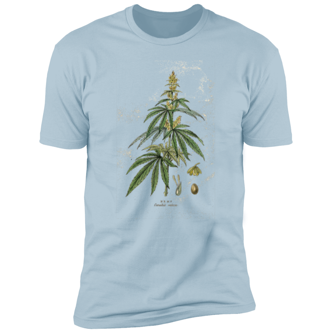 HEMP2