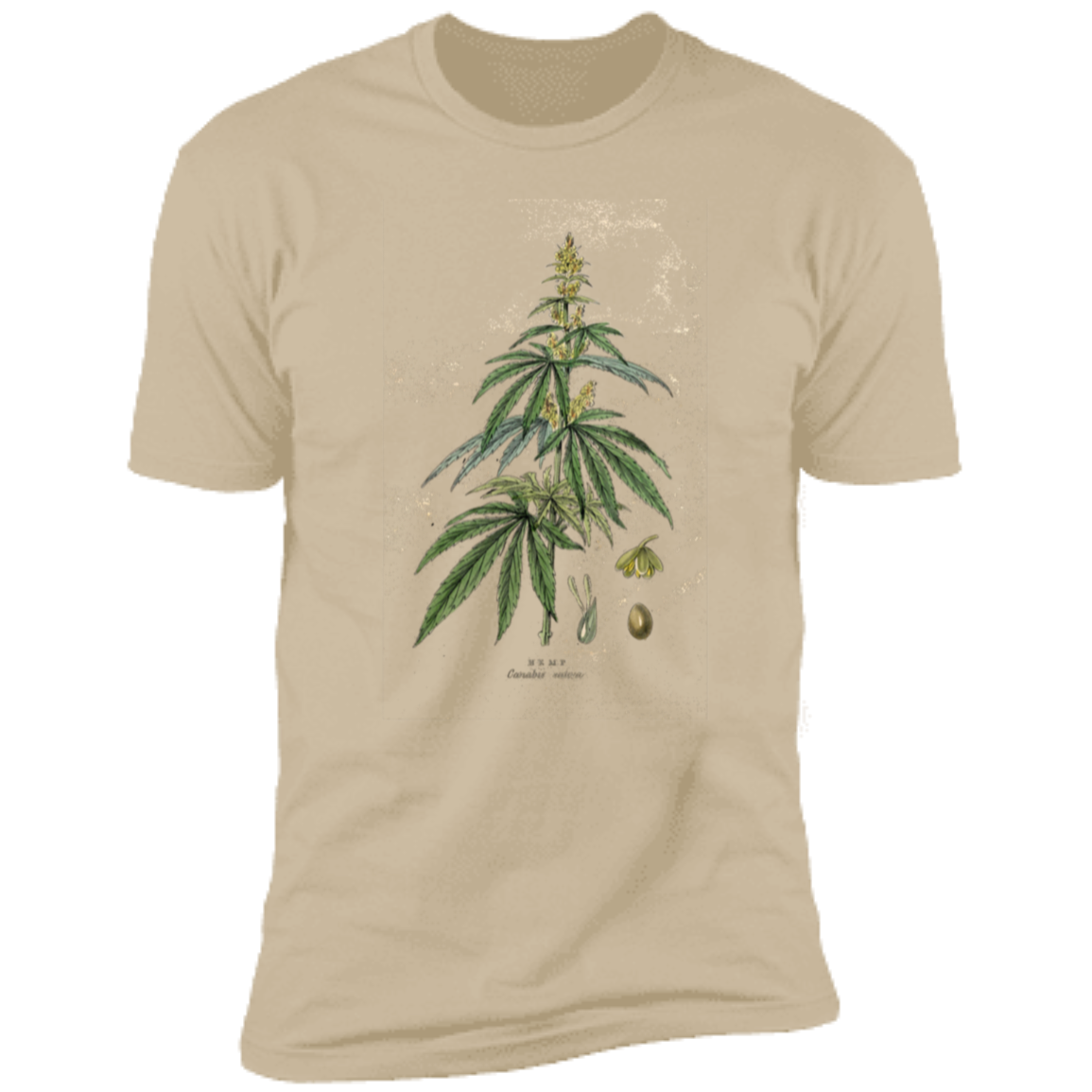 HEMP2