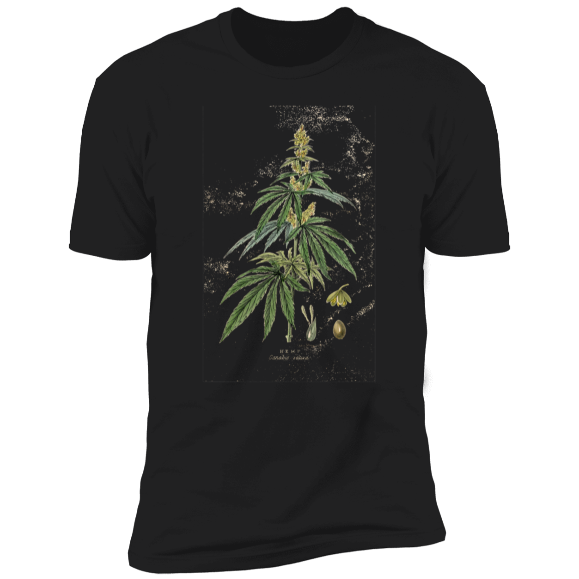 HEMP2