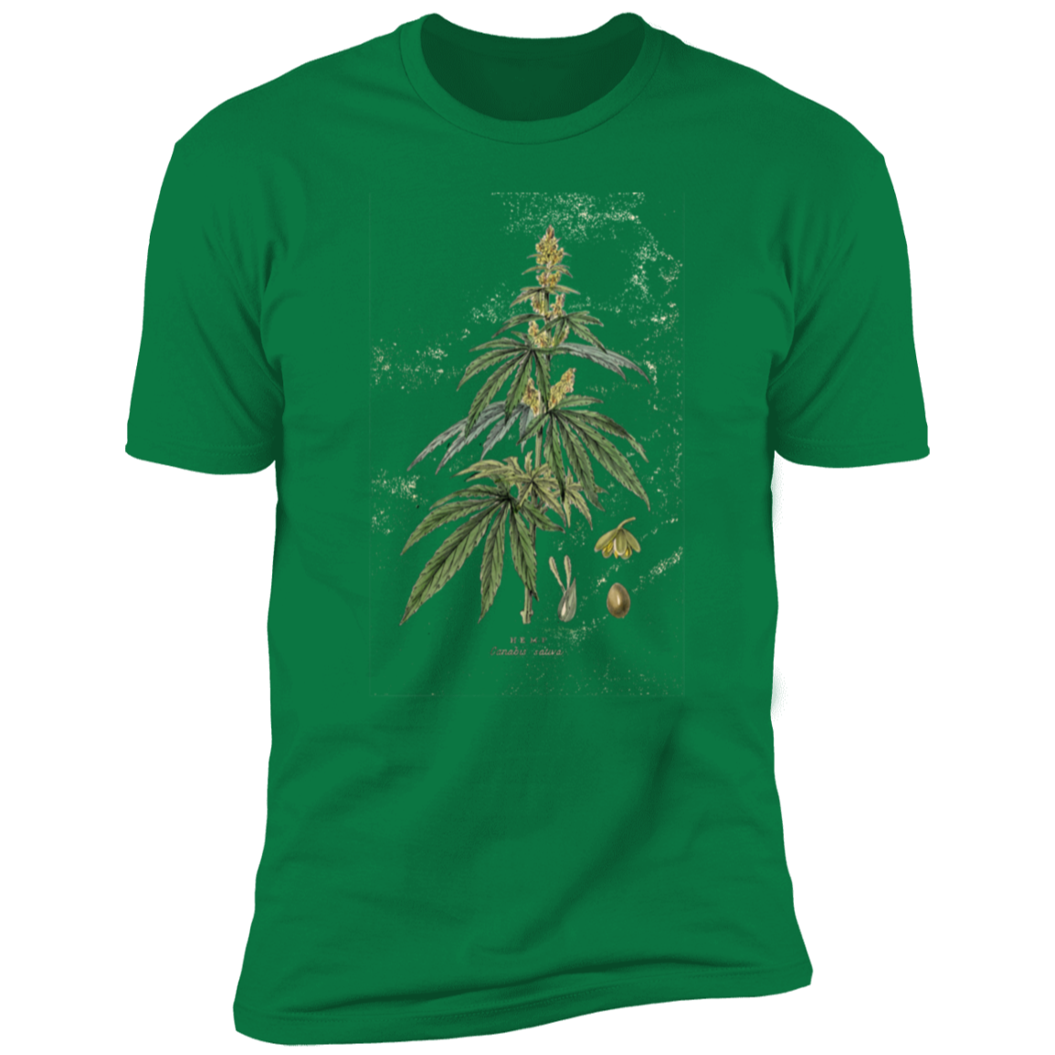HEMP2